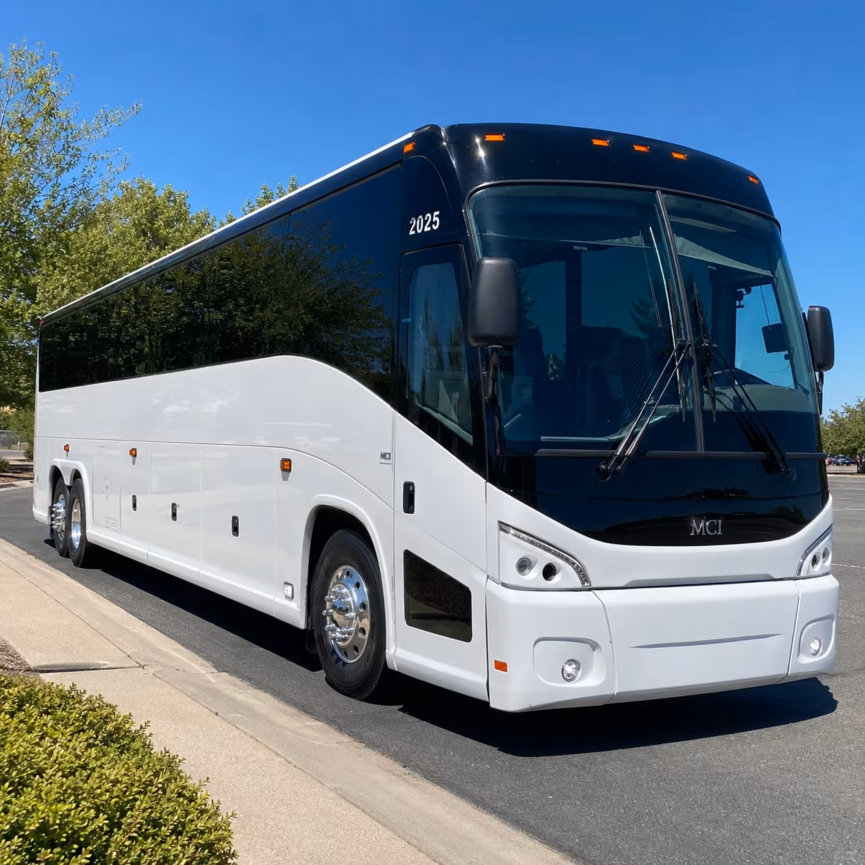 frisco birthday party transportation
