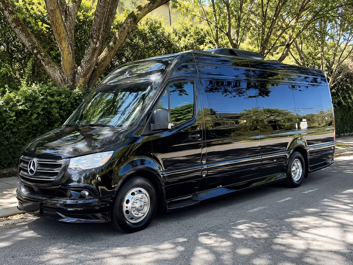 frisco sprinter van with driver
